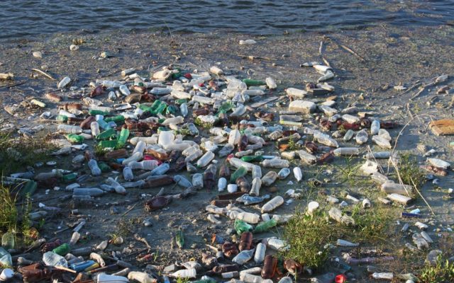 Single-use plastics to be phased out on federal lands and parks