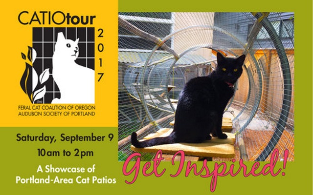 <h1 class="tribe-events-single-event-title">5th Annual Catio Tour</h1>