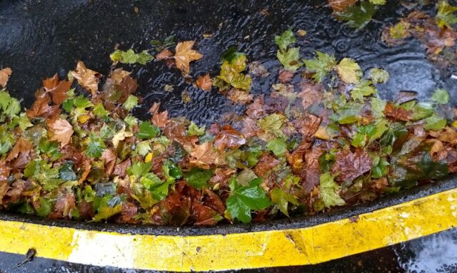 Help keep storm drains clear this fall to prevent urban flooding