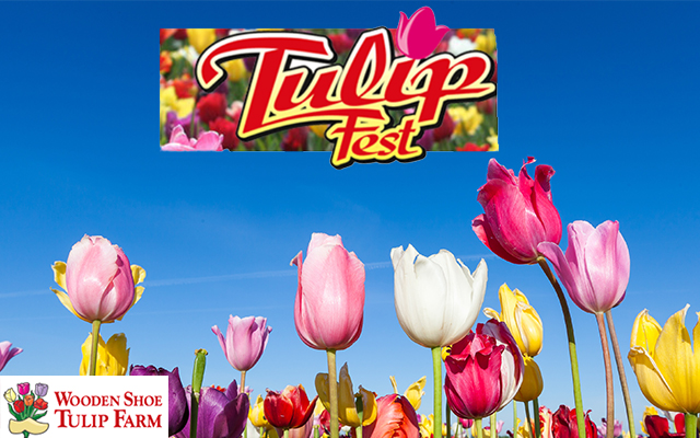 <h1 class="tribe-events-single-event-title">Wooden Shoe Tulip Farm Festival</h1>