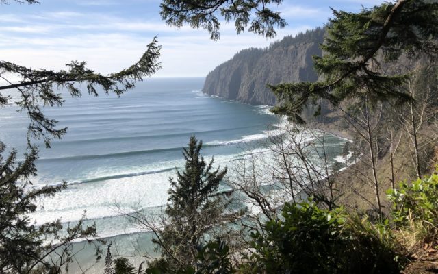 North Coastal Parks OPEN & Oregon State Park camping taking reservations