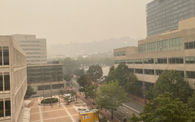 How To Check The Air Quality Where You Live
