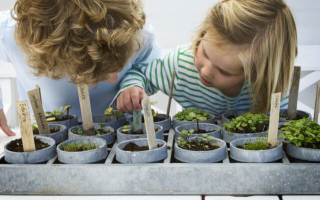 Want to get a jump start on your garden? Start seeds indoors