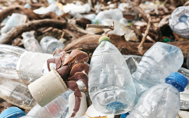 Senator Jeff Merkley introduces the “Break Free From Plastic Pollution Act”