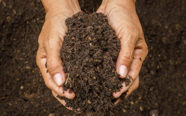 Could Oregon be the next state to allow human composting?